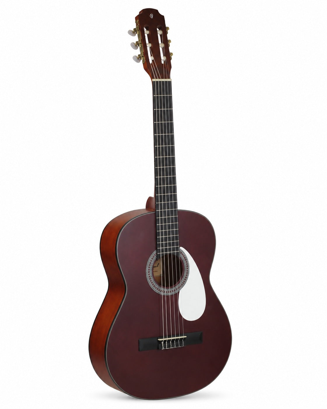 Guitarra Clasica Burdeo 39¨- Incluye Funda